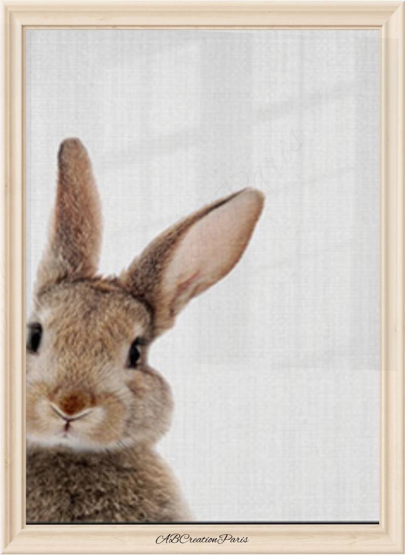 affiche lapin mignon