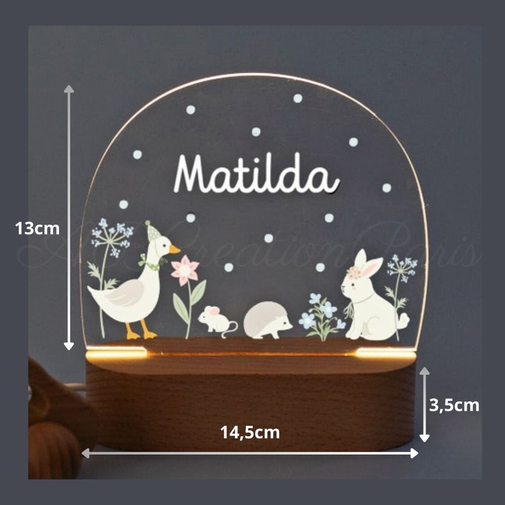 lampe led animaux oie lapin et hérison. Cadeau de naissance personnalisé